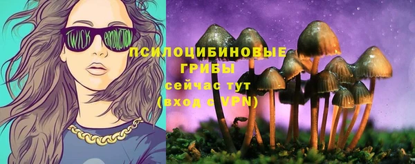MESCALINE Гусев
