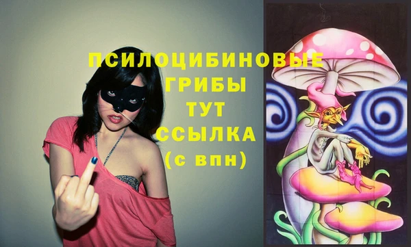 MESCALINE Гусев