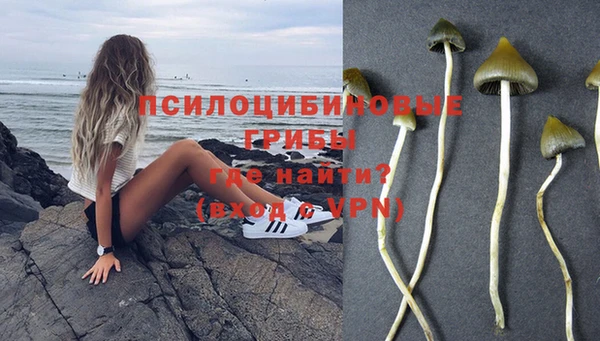 трава Гусь-Хрустальный