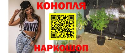 Альфа ПВП Камышлов